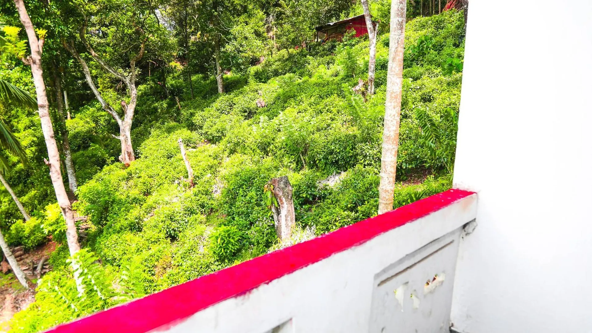 Mountain Bliss Villa Peradeniya Guest house