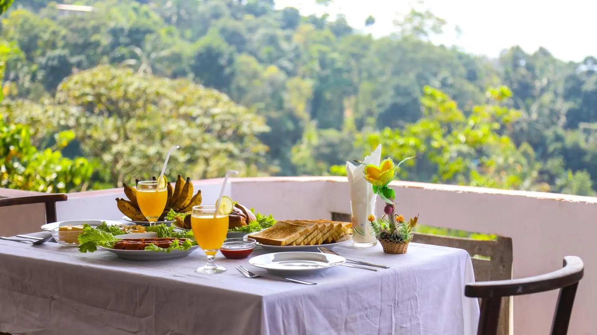 Mountain Bliss Villa Peradeniya 0*,  Sri Lanka